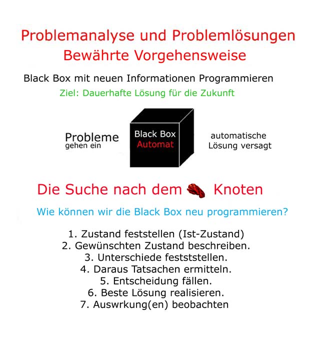 problemanalyse in einfacher sprache